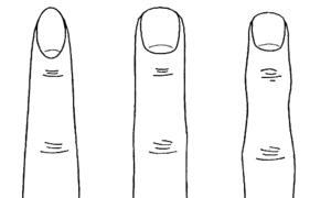 Что означает длина пальцев на руке